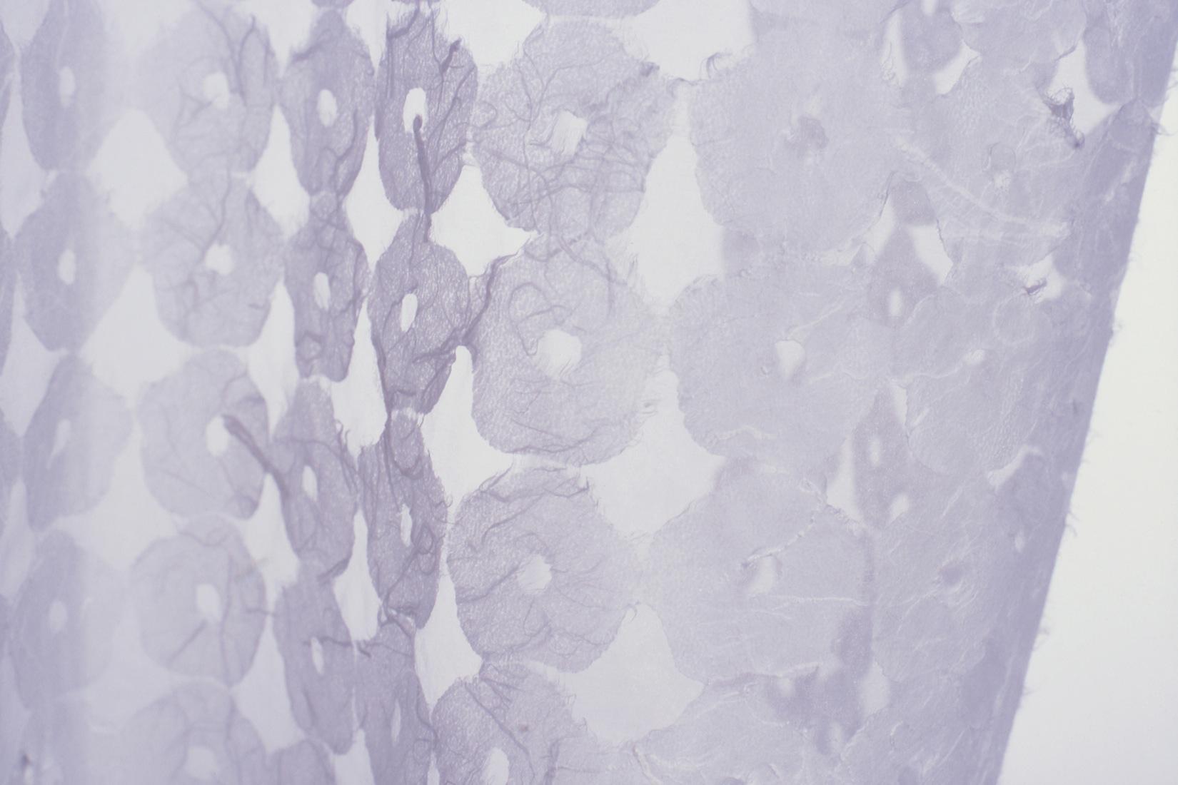 NUNO | Organdy Cookie